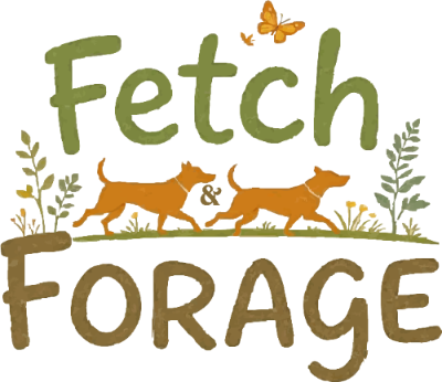 Fetch & Forage